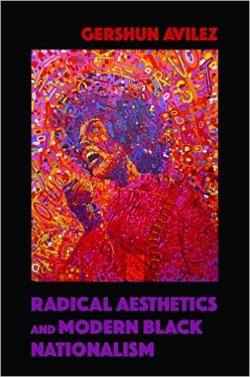 Radical Aesthetics and Modern Black Nationalism